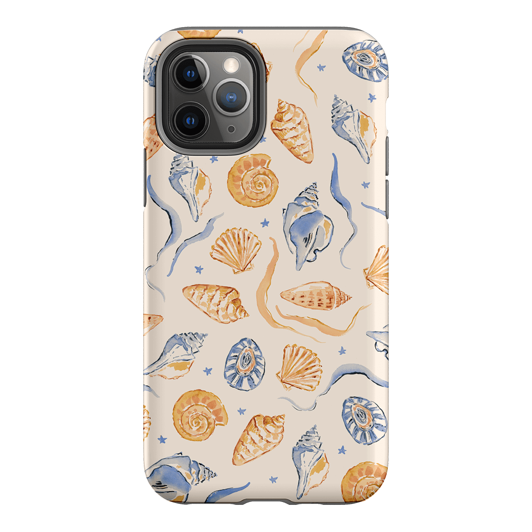Shells Swirls