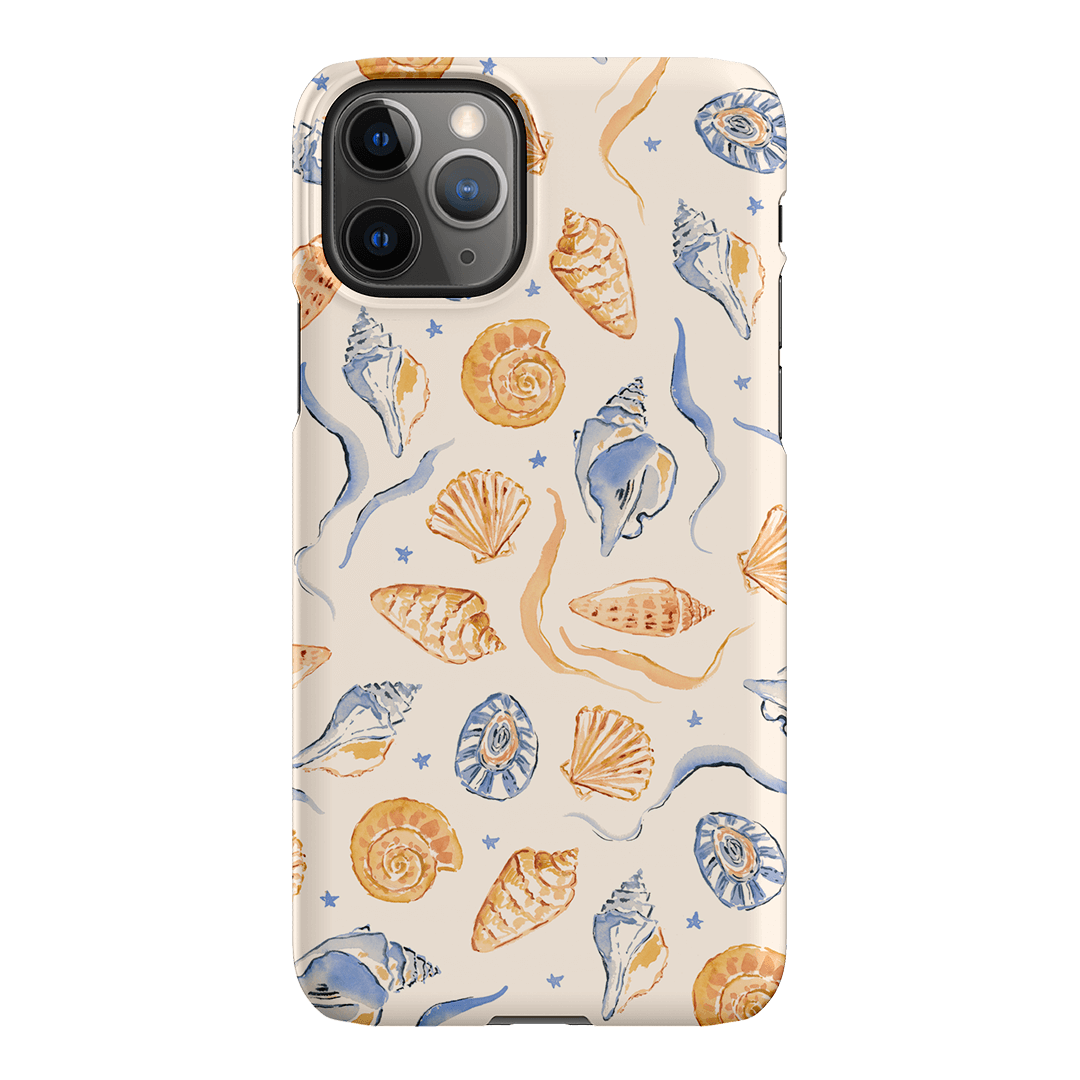 Shells Swirls