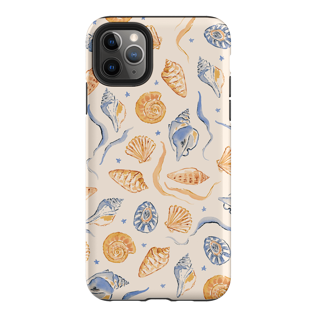 Shells Swirls