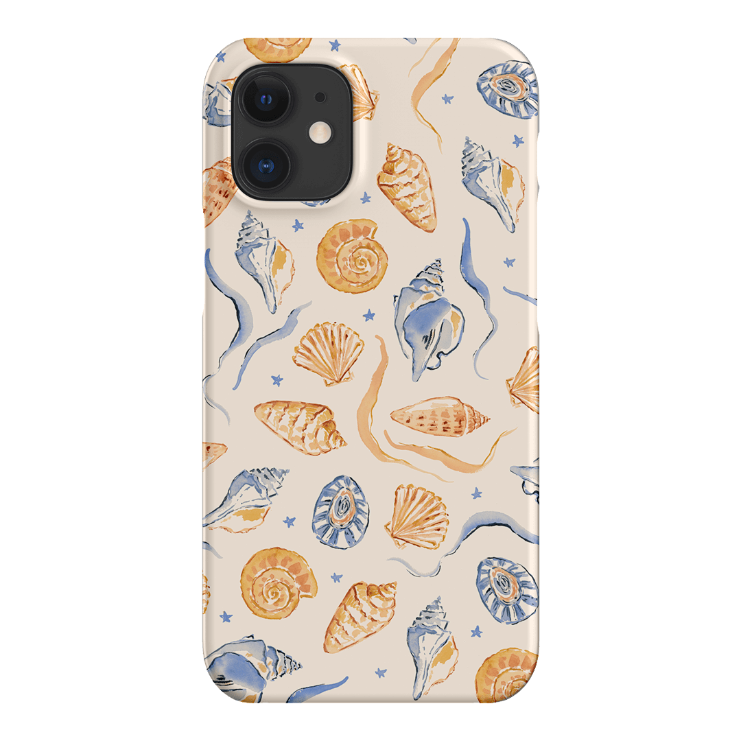 Shells Swirls