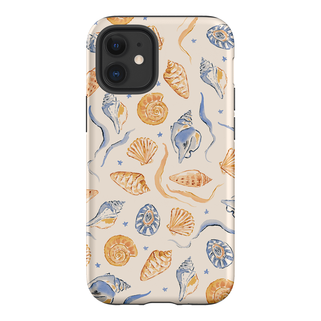 Shells Swirls