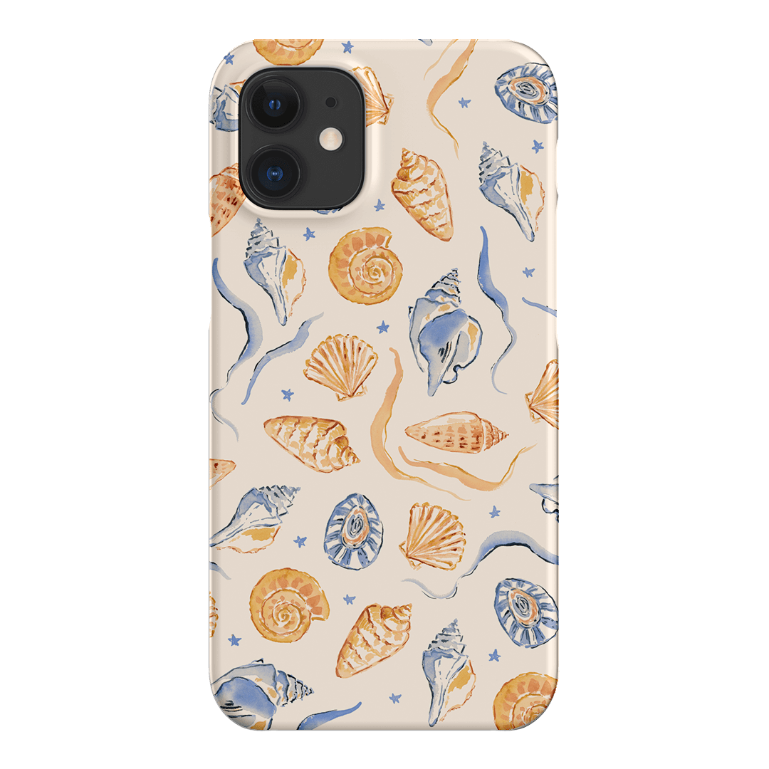 Shells Swirls