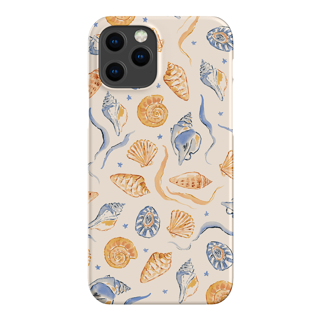 Shells Swirls