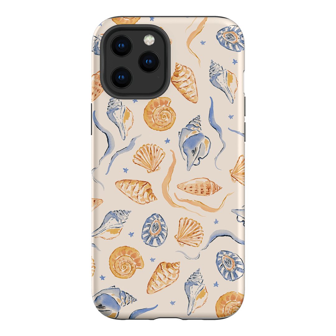 Shells Swirls