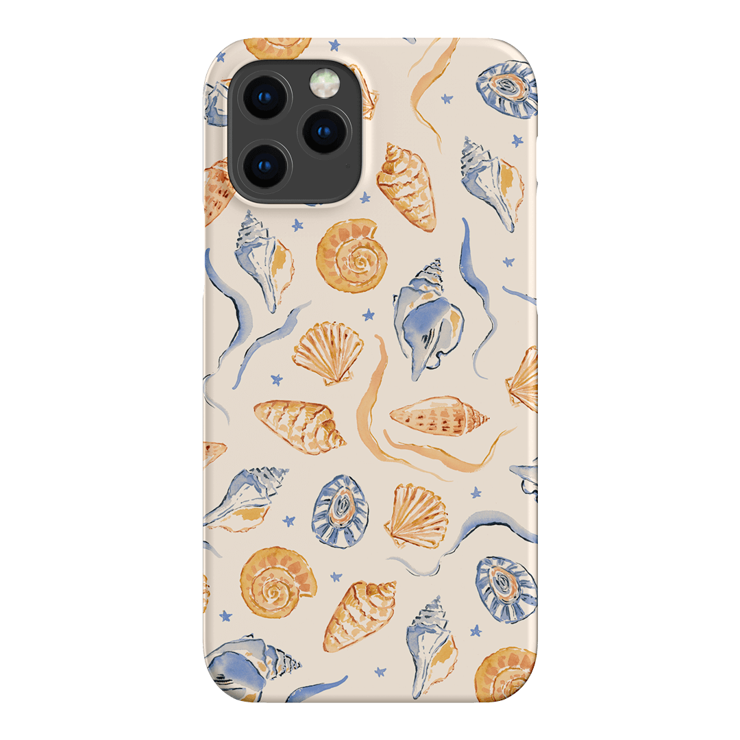 Shells Swirls