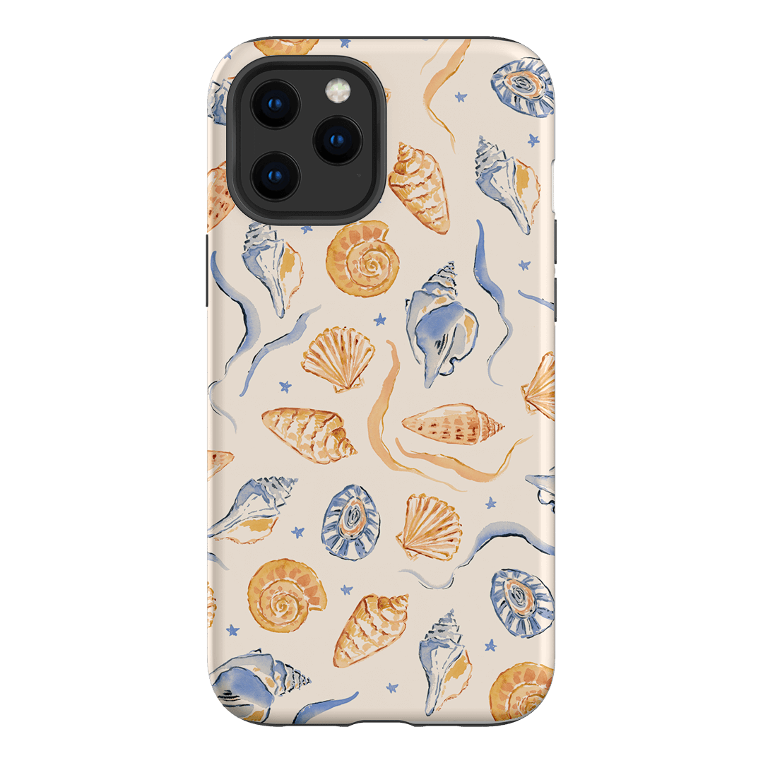 Shells Swirls