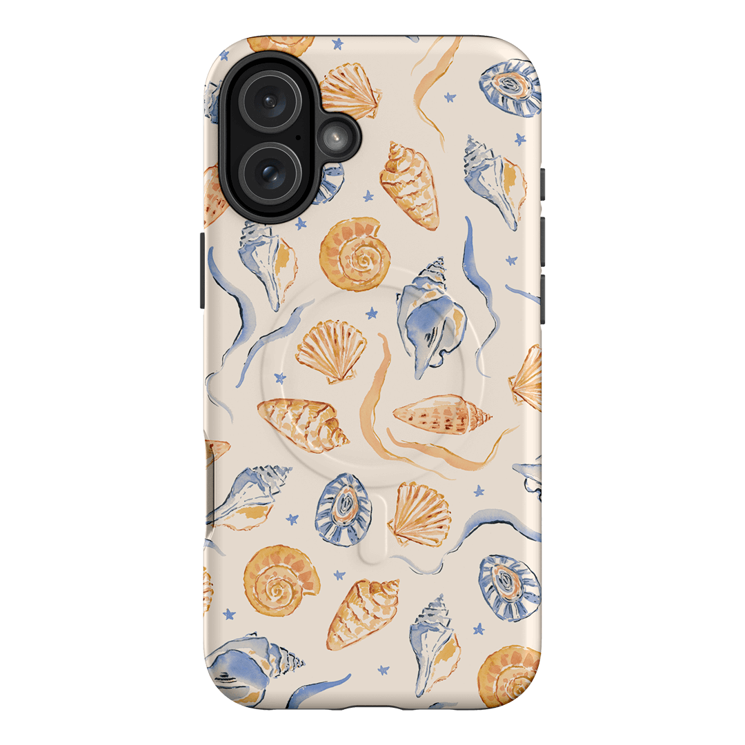 Shells Swirls
